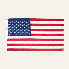 Allegiance American Flag