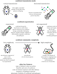 Mostly around west malaysia as well. Evolution Of Animal Immunity In The Light Of Beneficial Symbioses Philosophical Transactions Of The Royal Society B Biological Sciences