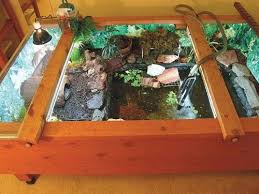 Indoor Tortoise And Turtle Table Housing Turtle Habitat Turtle Care Turtle Aquarium