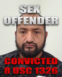 This illegal alien was determined to avoid arrest, but his hiding plan was  "tree-mendously" flawed. Thanks to the expert negotiation skills of our  Border Patrol agents, he came down