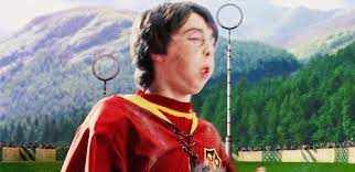 This page has our best quidditch quizzes. How Did Harry Catch The Snitch In His First Quidditch Match Quora