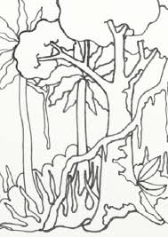 Maybe you would like to learn more about one of these? Simple Amazon Rainforest Drawing Novocom Top