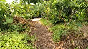 With a variety of shapes and sizes available, the organic garden co. Steve The Organic Gardener Home Facebook