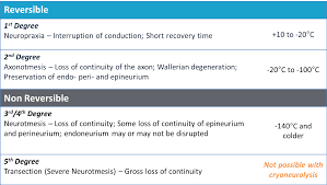 Classification of peripheral nerve injury assists in prognosis and determination of treatment strategy. Download Nerve Injury Classification Table Of Temperatures Required Nerve Injury Classification Sunderland Full Size Png Image Pngkit