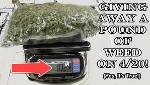Another factor that contributes to the cost of a pound of weed is demand, and 2020 saw demand for cannabis skyrocket in both legal and illicit markets. Giving Away A Pound Of Weed On 4 20 Yes It S True