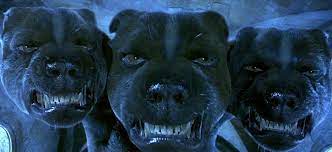 Despite his brief stint in harry potter and the sorcerer's stone, fluffy became one of the most popular mystical creatures to come out of the franchise. Slideshow The Harry Potter Universe S Most Fantastic Beasts