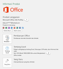 Cara aktivasi office 365 permanen di laptop windows. Tentang Office Versi Office Apa Yang Saya Gunakan Dukungan Office