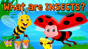 For preschool preschool bug activity bug lesson plan activity for pre k pre k bug activity for kids preschool bug activity for children. Learn About Insects Song Activity Preschool Kids Kindergarten Youtube