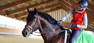 Ingrid klimke was born in munster, germany on monday, april 1, 1968 (generation x). Zu Gast Bei Ingrid Klimke Reitsport Magazin