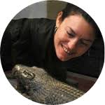 Can a crocodile cure your ills? Testing the Crocodylus Apothecary  Hypothesis