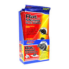 Between the damage they do to wood and insulation, the host of unsavory diseases they harbor, and their rapid rate of reproduction, it's. Pic Glue Large Rat Board Traps 2 Pack Case Total Number Of Boards 48 Grt 2f H The Home Depot