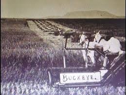 From Sheep To Chardonnay Life In The Australian Bush Early 1900 S Youtube Australian Bush Life Chardonnay