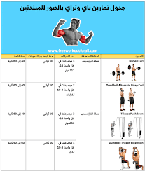 جدول تمارين باي وتراي بالصور Arm Workout Super Sets Barbell Curl