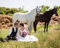 Placheta din aluminiu in forma de papirus este personalizata cu un design special pentru nunta de argint: Nunta De Argint Semnificatii Organizare Cadouri Lanovia Rochii De Mireasa