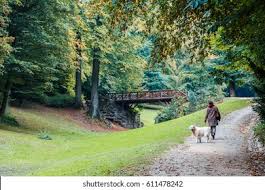 Le bois de la cambre (en ) est un parc public situé à bruxelles. Park Bois De La Cambre Sonian Stock Photo Edit Now 611478242