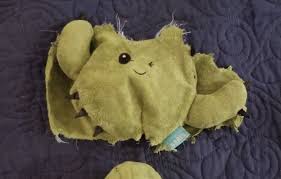 Things tagged with 'cactus' (337 things). Dog Owner Shocked By Discovery Inside Destroyed Chew Toy