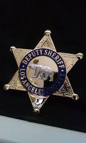Pin By Kathy Bartlett On Law Enforcement Patches And Badges Police Badge Star Badge Fire Badge