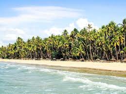 Overview accommodation getting there getting away. Ngapali Beach Rated The Best Beach In Asia By Tripadvisor Users