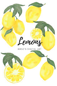Watercolor Limons Clipart Summer Limon Clipart Etsy Clip Art Baby Clip Art Watercolor Fruit