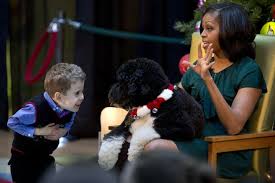 First lady michelle obama gab zu, dass sunny, der jüngere der beiden hunde der first family, ein wenig unartig sein kann. Obamas Trauern Um Familienhund Und Fruheren First Dog Bo