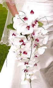 Wedding Flowers Flower Bouquet Wedding Orchid Bridal Bouquets Wedding Bouquets Bride