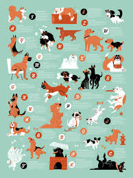 Dogs Alphabet Dog Poster Dogs Cat Facts Text