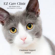 Maybe you would like to learn more about one of these? How Difficult Is It To Get An Esa Letter Ezcare Medical Clinic