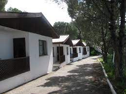 Futbol oynamak için buzun kalkmasını bekleyen, ilk kez turnuvaya katılıp ikinci çıkan 300 binlik ülke izlanda'dan, 40 yaşında kalecisi ve sıfır yıldız oyuncusuyla grubundan lider çıkan macaristan'dan, ilk turnuva deneyiminde senin 10 maçta gol atamadığın ingiltere'yi altına alan galler'den, almanyanın bulunduğu gruptan averajını eksilemeden çıkarak kendi emeğiyle. T C Tarim Ve Orman Bakanligi