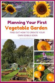 When and when not to plant a vegetable garden is important if you want your crops to grow well, yield good produce and the harvest time frame is what matters. Garden Planning Course Coming Soon Growing Healthy Kids Vegetable Garden For Beginners Starting A Vegetable Garden Vegetable Garden Planner
