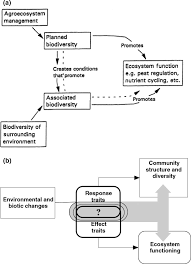 However, managing undesired variables in ecosystems is similar to that for other systems, including the human body and social orders. A Revised Trait Based Framework For Agroecosystems Including Decision Rules Damour 2018 Journal Of Applied Ecology Wiley Online Library