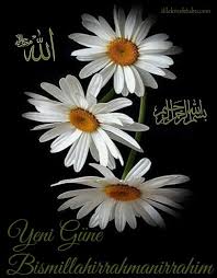 Besmele Bismillah Bismillahirrahmanirrahim Yenigunebismillah Diniresimler Dilekmektubu Dinigunaydinmesajlari Dinigunaydinmesajla Papatyalar Cicek Bitki