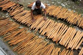 Di dalam kayu manis mengandung zat kimia bernama cinnamaldehyde. Balitbangtan Siap Tingkatkan Kualitas Produk Kayu Manis Antara News