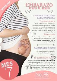 Calculadora Gestacional De Meses Para Semanas Pin De Ligia De Leon En Embarazada Y Entaconada Proceso De Embarazo Embarazo Saludable Imagenes De Embarazo