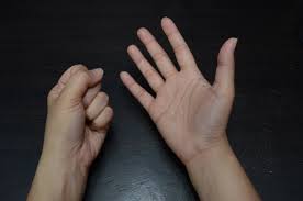 Image result for fingers