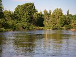 Northern Michigan Fly Fishing Rivers Hatches Current Works