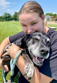 ✨ Stella still shines! ✨ But no one has wished for her. 😔 🎆Please share  to find Stella a brighter future! 🎆 Although she's a superstar at the  shelter, she's been overlooked