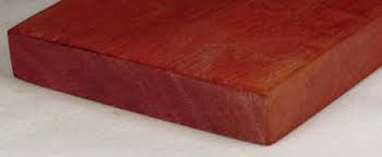 Image result for Berchemia zeyheri