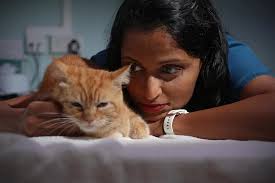 World Veterinary Day: Meet Singapore's unsung heroes of pet care