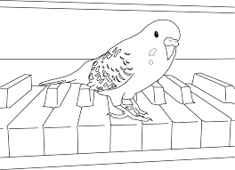 Parakeet Coloring Pages Bird Coloring Pages Coloring Pages Animal Coloring Pages
