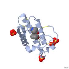 Image result for Atropine