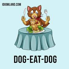Dog-eat-dog" = place or situation that is highly competitive. ⠀ Example: In  show business it's dog-eat-dog - one day you're a star, the next you've  been replaced by younger talent. ⠀ Example: