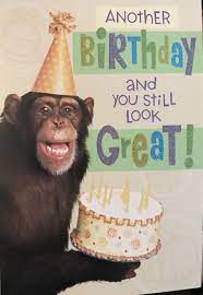 Chimp Birthday Birthday Wishes Funny Monkey Pictures Birthday Pictures