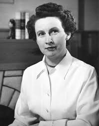 Image result for Blandford Violet 1968 Fleet