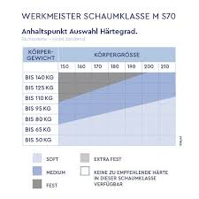 Zufrieden unsere mitarbeiter haben uns der aufgabe. Werkmeister M S70 Klima Kaltschaummatratze Online Kaufen Belama
