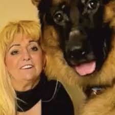 VCA AURORA ANIMAL HOSPITAL