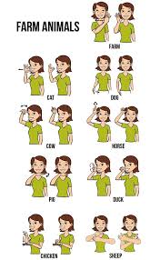 Baby Sign Language Australia Free Printable Chart Google
