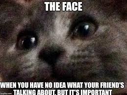 Image Tagged In Happy Cat Imgflip To bring bits of joy to those who may need it.
