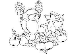 Ausmalbilder Igel 10 Ausmalbilder Tiere Fall Coloring Pages Apple Coloring Pages Christmas Coloring Pages