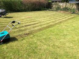 Die messer dürfen den boden nur leicht berühren, ihn aber nicht aufschlitzen. Tipps Zum Rasen Vertikutieren Wann Ist Die Beste Zeit