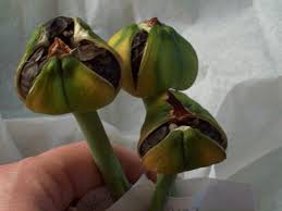 Leines S Blog Willkommen In Meinem Blog